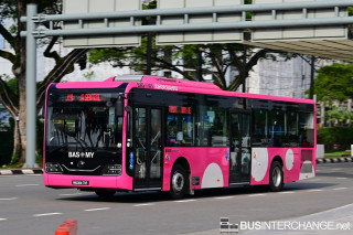 MADANI785 - J10